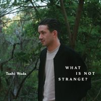 TASHI WADA “What Is Not Strange?” [ARTPL-216]